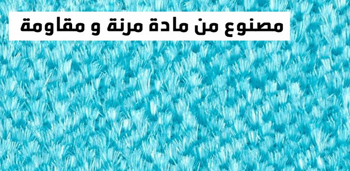 مزيل الفرو والوبر من الملابس يدوي