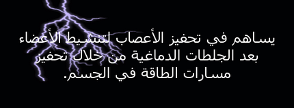 جهاز المساج المغناطيسي