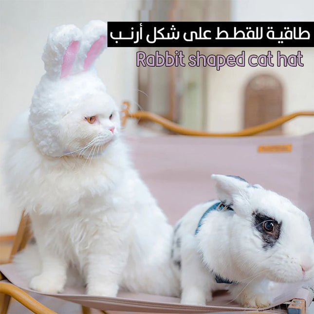 طاقية للقطط على شكل أرنب Rabbit shaped cat hat