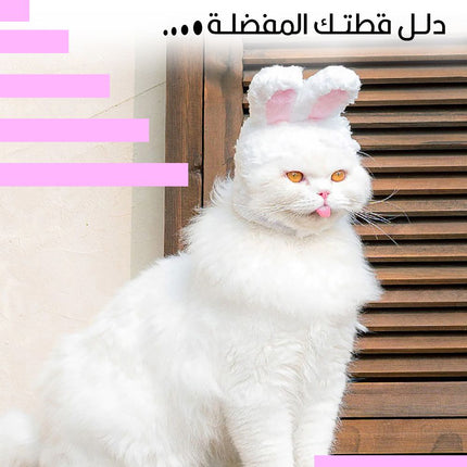 طاقية للقطط على شكل أرنب Rabbit shaped cat hat