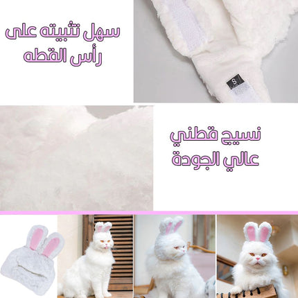 طاقية للقطط على شكل أرنب Rabbit shaped cat hat