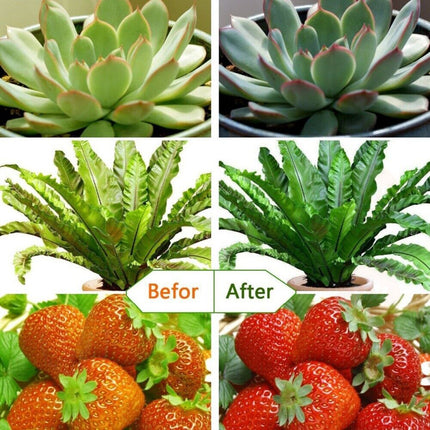 اضاءة شمسية للنباتات Grow light for indoor plants