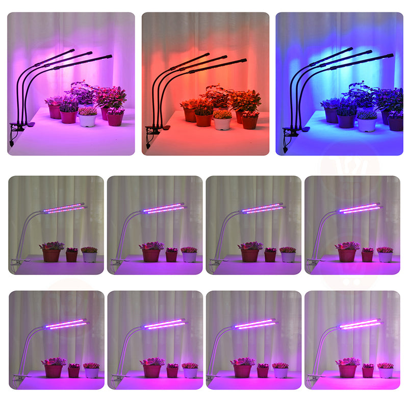اضاءة شمسية للنباتات Grow light for indoor plants
