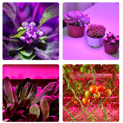 اضاءة شمسية للنباتات Grow light for indoor plants
