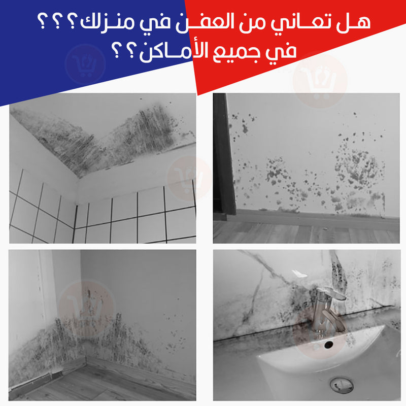 بخاخ لإزالة العفن  متعدد الإستخدام Wall Mildew Agent Cleaner Mould Wall Remover Spray