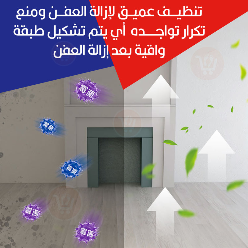 بخاخ لإزالة العفن  متعدد الإستخدام Wall Mildew Agent Cleaner Mould Wall Remover Spray