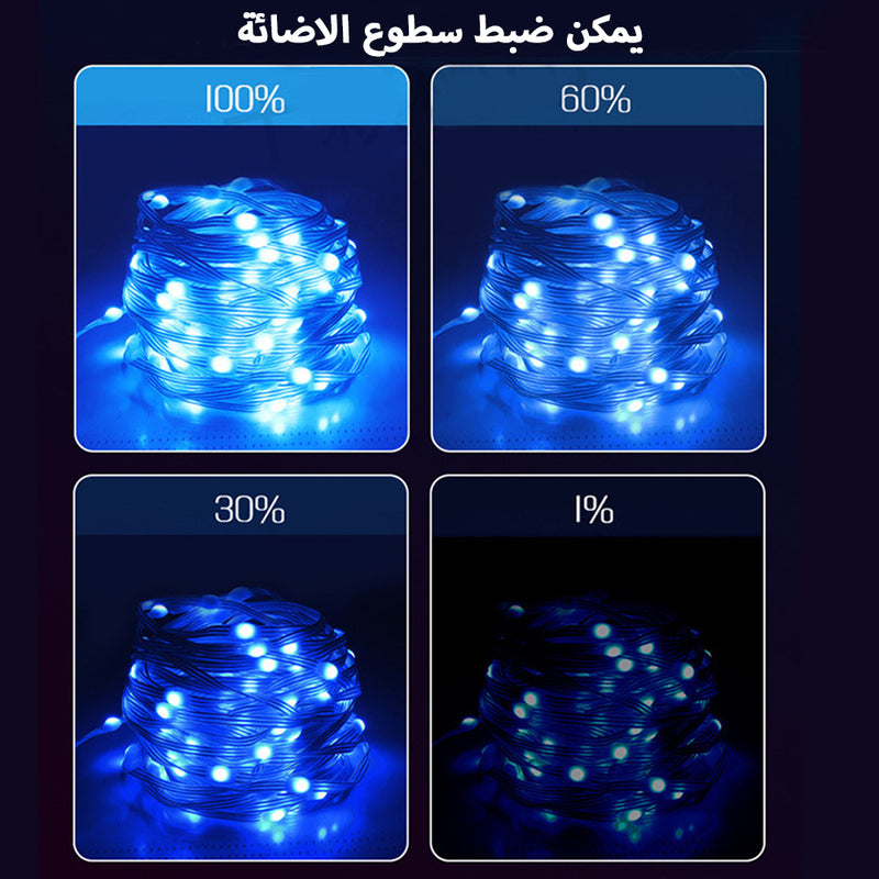 حبل ليد مع تطبيق وتغير اللون علي الصوت SMART FAIRY LIGHTS IC-RGB