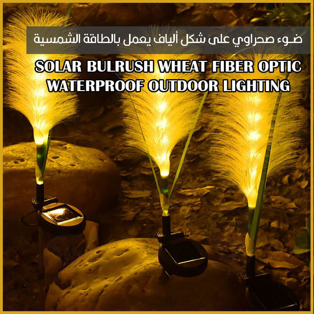 ضوء على شكل سنبلة يعمل بالطاقة الشمسية للحدائق  Solar Bulrush wheat Fiber optic