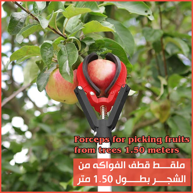 ملقط قطف الفواكه من الشجر بطول 1.50 متر Forceps for picking fruits