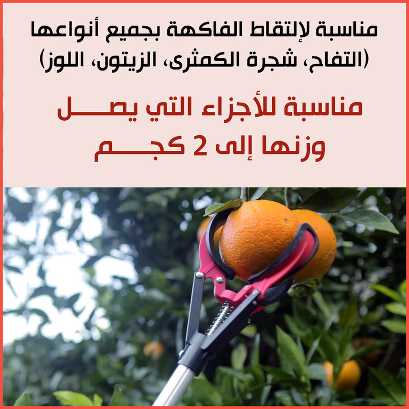 ملقط قطف الفواكه من الشجر بطول 1.50 متر Forceps for picking fruits