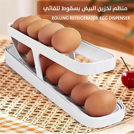 منظم عصري للبيض