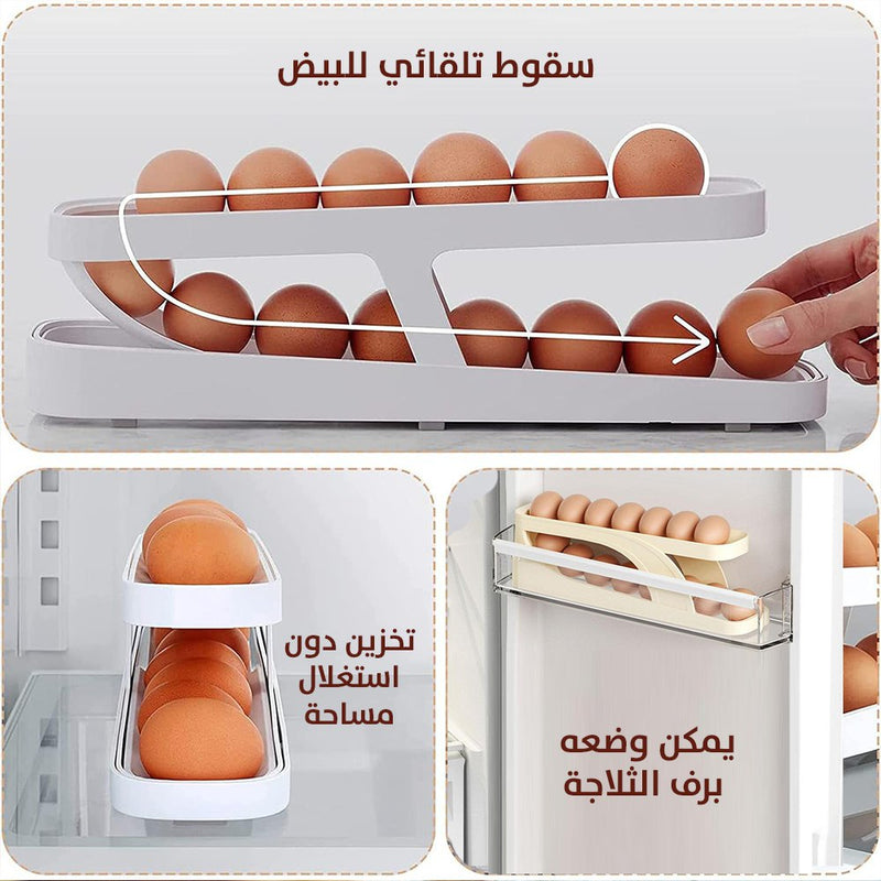 منظم عصري للبيض