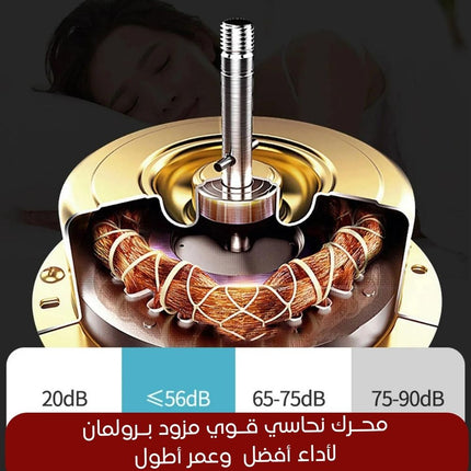 مروحة تبريد سقف مع ريموت تحكم Ceiling Mount Cool Fan ceiling exhaust fan