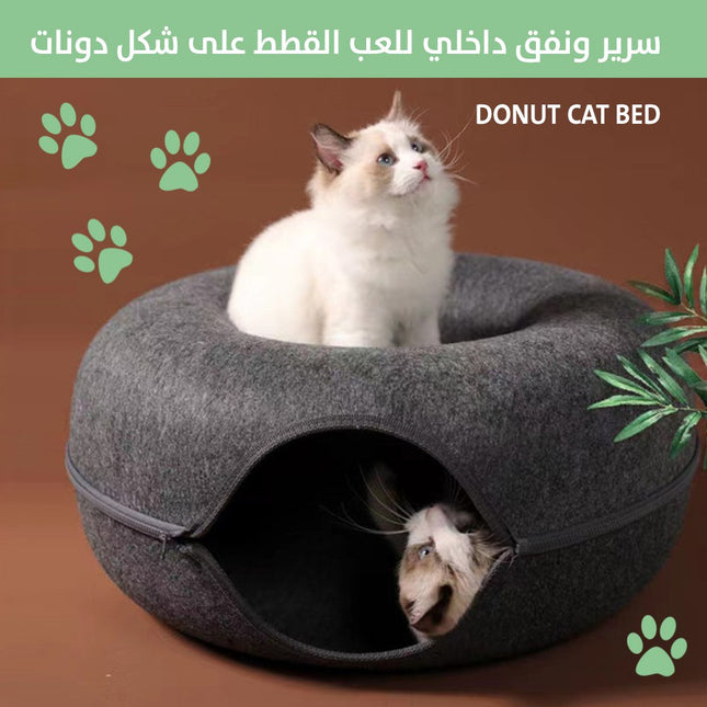 بيت القطط