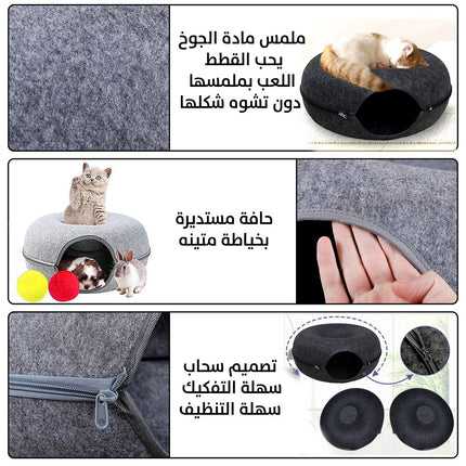 بيت القطط