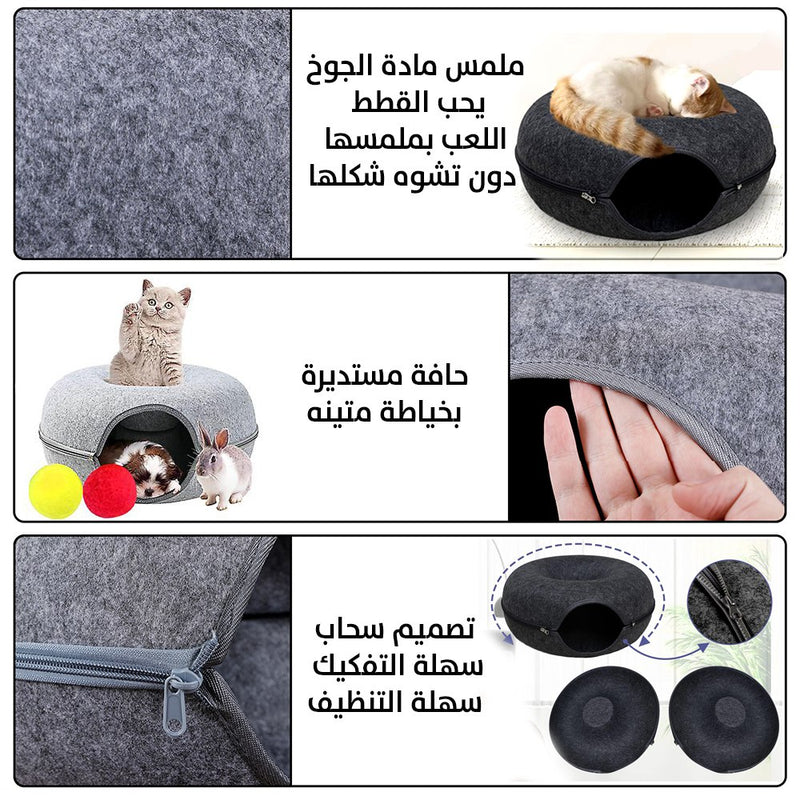 بيت القطط