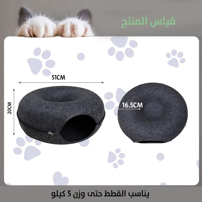 بيت القطط