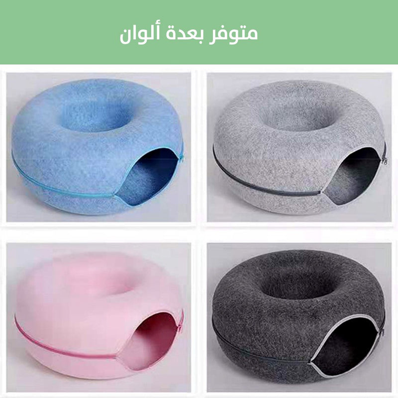 بيت القطط