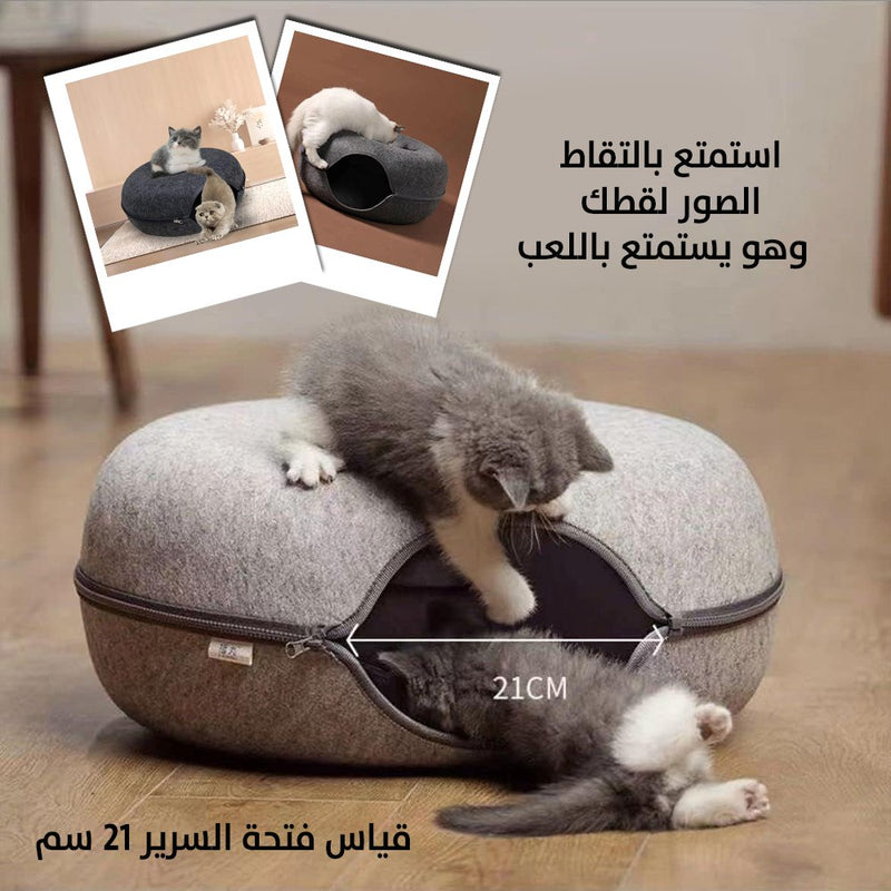 بيت القطط