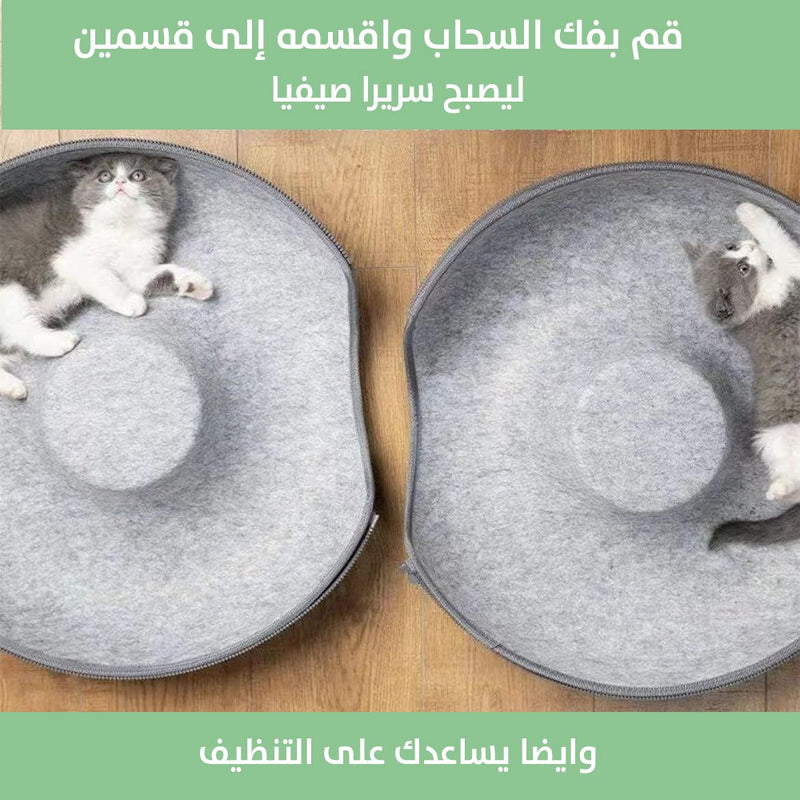 بيت القطط