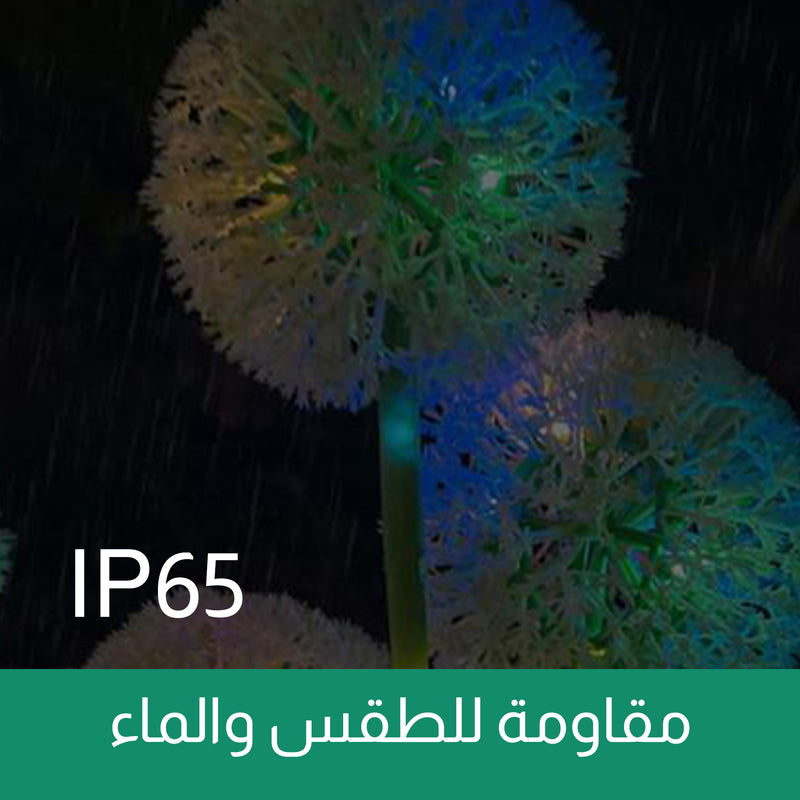 إضاءة حديقة على شكل هندباء تعمل بالطاقة الشمسية Solar Powered Dandelion Garden Light