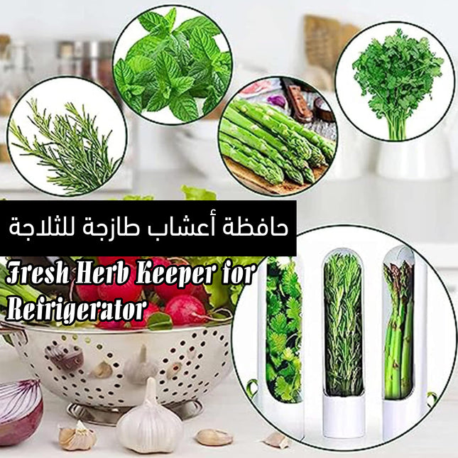 حافظة أعشاب طازجة للثلاجة Fresh Herb Keeper for Refrigerator