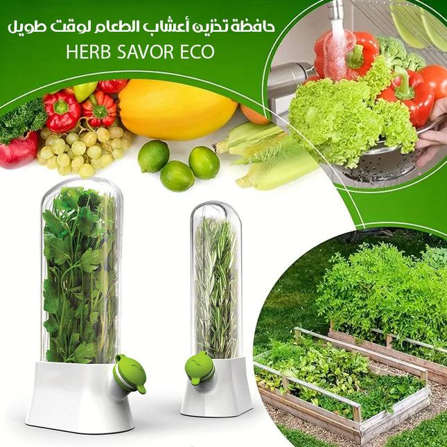 حافظة تخزين أعشاب الطعام لوقت طويل HERB SAVOR ECO