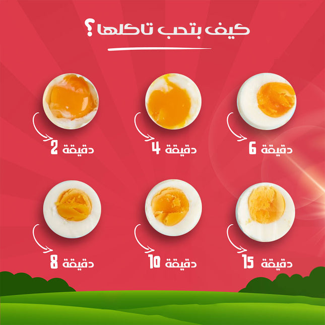 سلاقة بيض وتسخين الطعام بالبخار egss boiler dsp