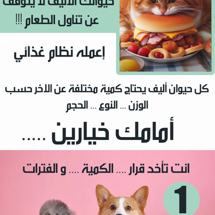 جهاز تنظيم وجبات الحيوانات الاليفة قابل للبرمجة Automated Pet Feeder