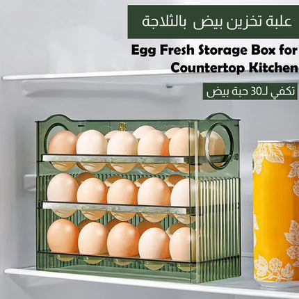 علبة تخزين بيض بالثلاجة تكفي لـ30 حبة بيض Egg Fresh Storage Box for Countertop Kitchen