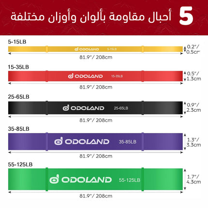 مجموعة أحبال مقاومة رياضية (Resistance Bands Set