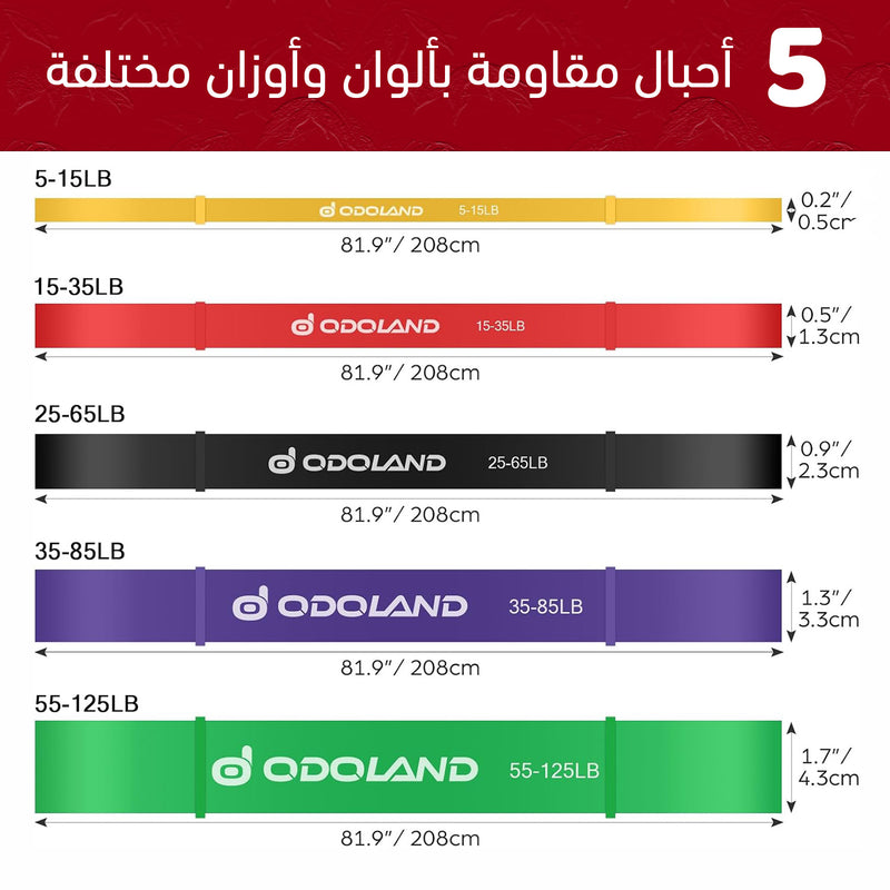مجموعة أحبال مقاومة رياضية (Resistance Bands Set