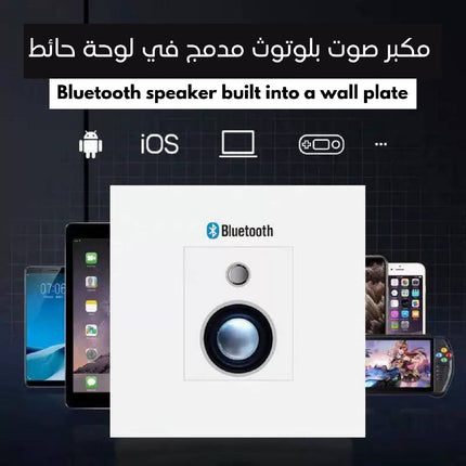 مكبر صوت بلوتوث مدمج في لوحة حائط Bluetooth speaker built into a wall plate