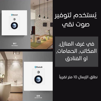 مكبر صوت بلوتوث مدمج في لوحة حائط Bluetooth speaker built into a wall plate