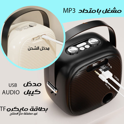 كاريوكي مزدوج بسماعة محمولة بلوتوث Dual microphone wireless duet
