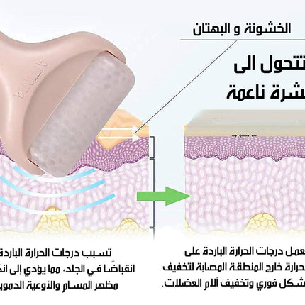 رول تدليك الوجه بالثلج FLAWLESS ICE ROLLER