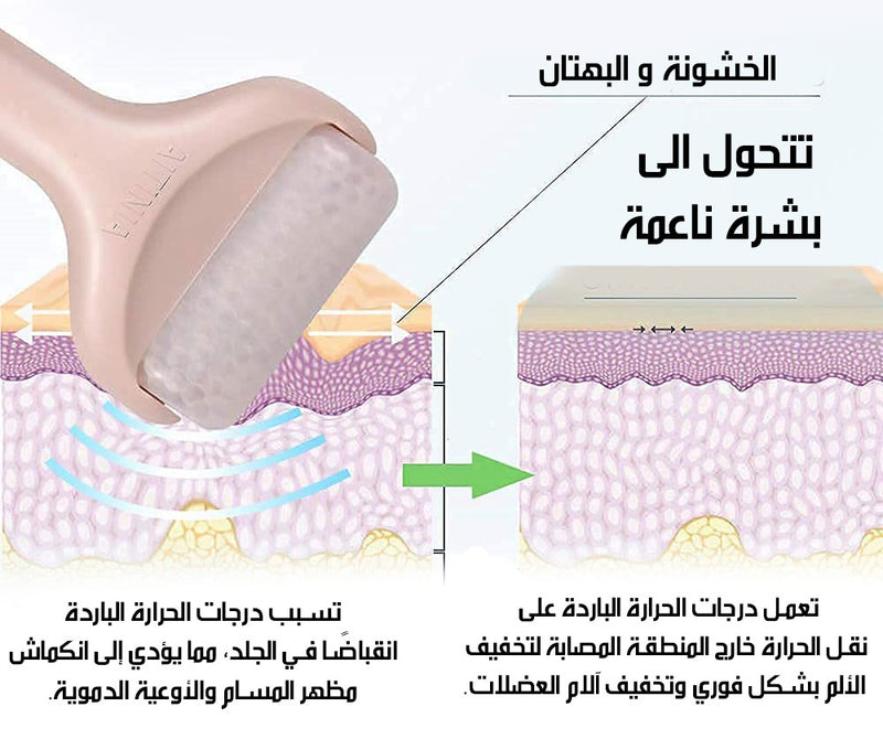 رول تدليك الوجه بالثلج FLAWLESS ICE ROLLER