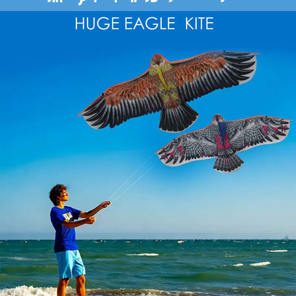 طائرة الصقر الورقية بأحجام كبيرة Huge Eagle Kite