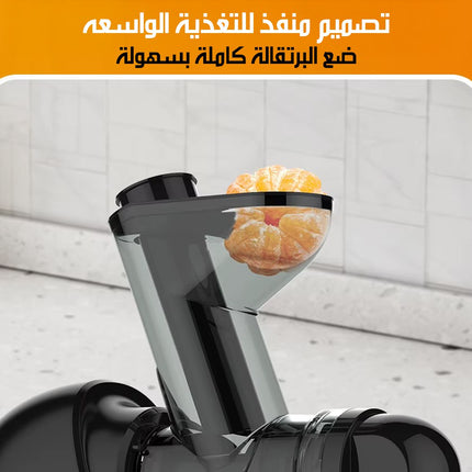 عصارة HALEY الأفقية لعصر الخضار والفواكه الطازجة HY-605 HALEY Horizontal Juicer For Fresh Fruits And Vegetables