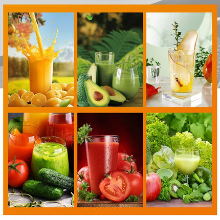 عصارة HALEY الأفقية لعصر الخضار والفواكه الطازجة HY-605 HALEY Horizontal Juicer For Fresh Fruits And Vegetables