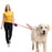 حبل للكلب بطول 5 متر Retractable Dog Lead