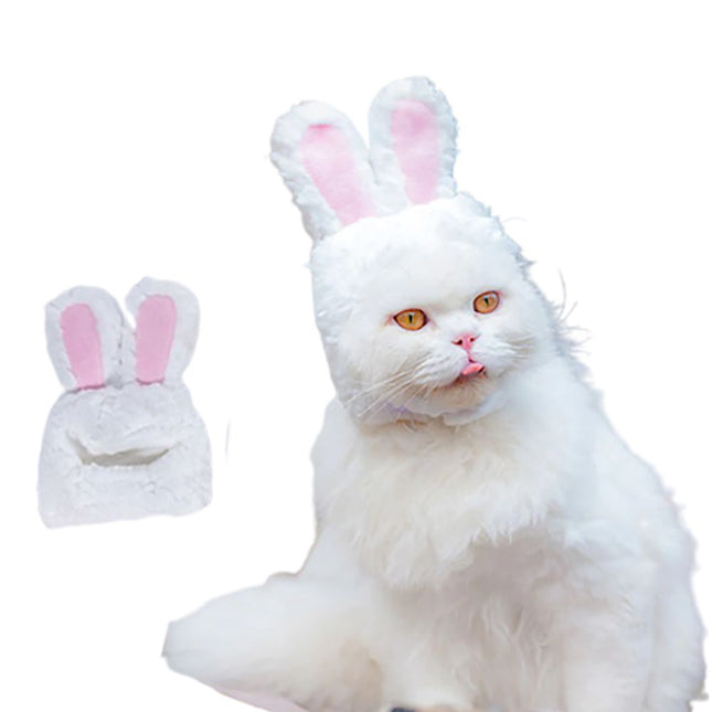 طاقية للقطط على شكل أرنب Rabbit shaped cat hat