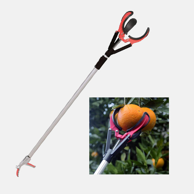 ملقط قطف الفواكه من الشجر بطول 1.50 متر Forceps for picking fruits